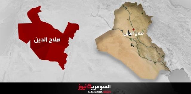نجاة محافظ صلاح