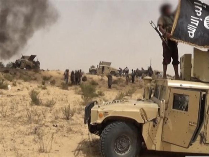 تنظيم ولاية سيناء..