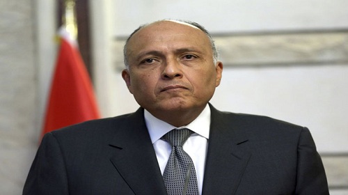 تفويض دولي لمصر