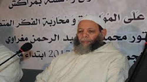 السلفيون والانتخابات