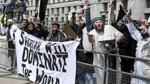 الخلايا النائمة