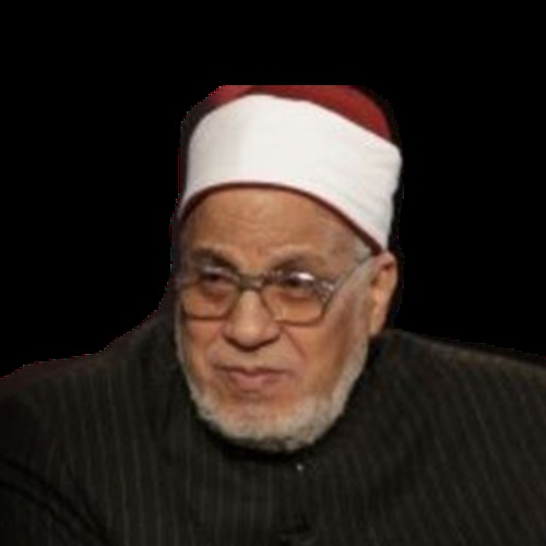 علوى أمين، أستاذ