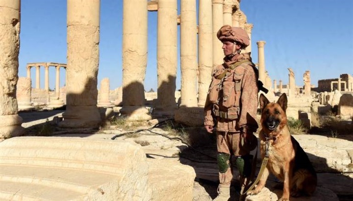 حميميم وطرطوس ثم