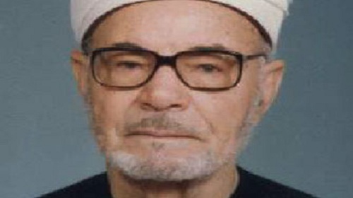 محمد نايل