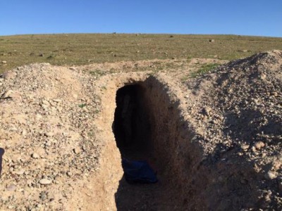 بعد استعادة الموصل..