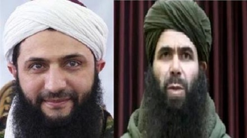 اتصالات الجولاني