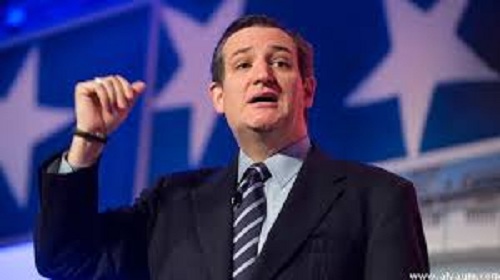 السناتور تيد كروز