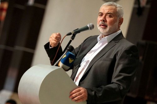 بعد ظهور السنور علنياً..