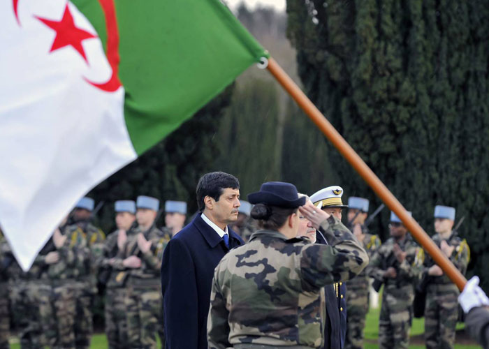 الجزائر تصفع الجماعات