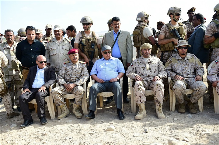 الحكومة اليمنية والحل