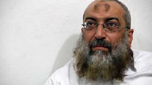 اسر برهامي، نائب