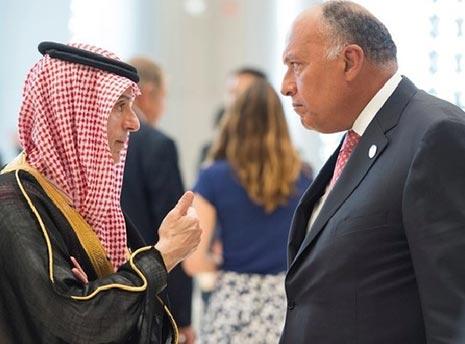 الدور المصري: