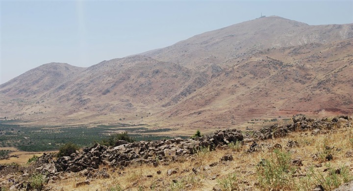 بعد اعتذارهم لتل