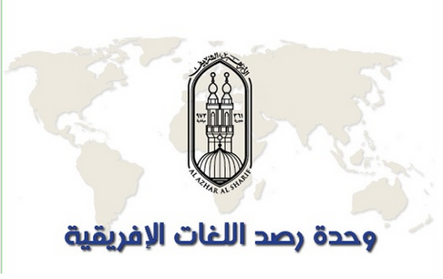 بوكو حرام واستراتيجية