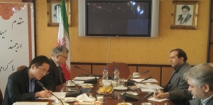 الدور الايراني: