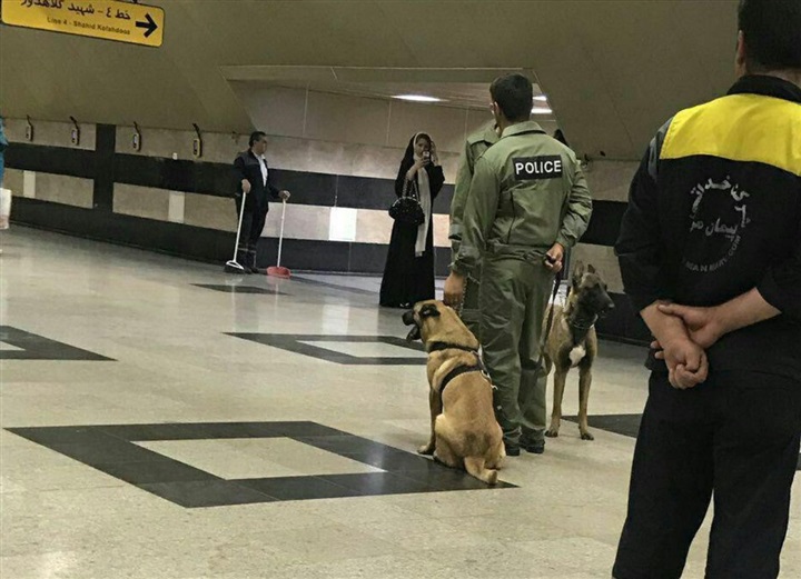 العلاقة المشبوهة