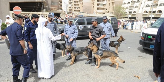  الجماعات الإرهابية