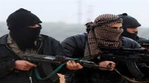 حركة حسم الاخوانية