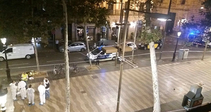 ملاحقة الجناة فى