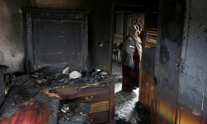 البلاديم.. تنظيم