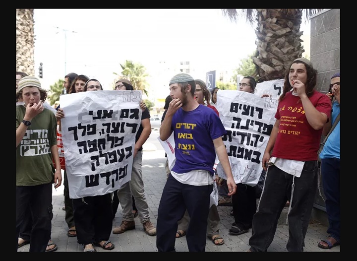 البلاديم.. تنظيم