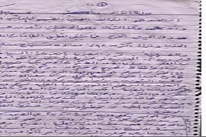 القاعدة وإيران