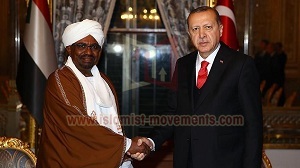 أردوغان والإخوان