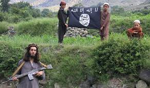 صندوق أموال التنظيم: