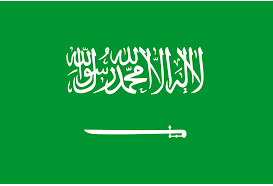  السعودية و نهيق