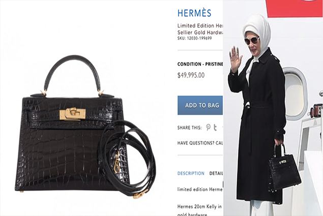 هلاوس عائلة الرئيس