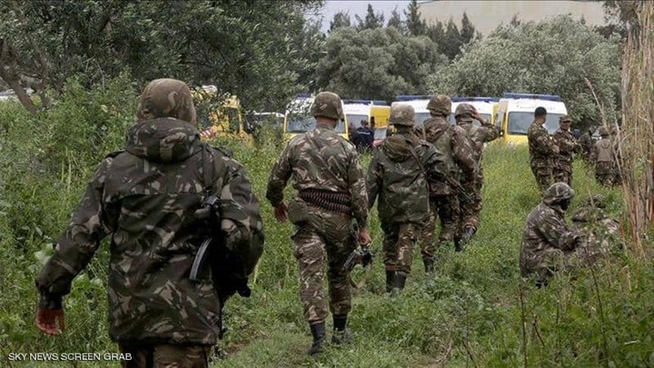 الجيش الجزائري يعتقل
