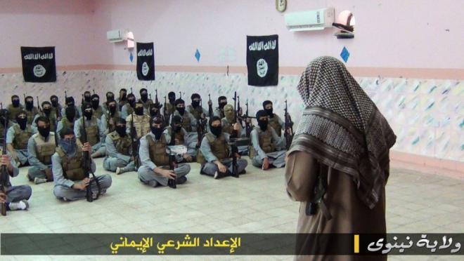 مستقبل التنظيم 