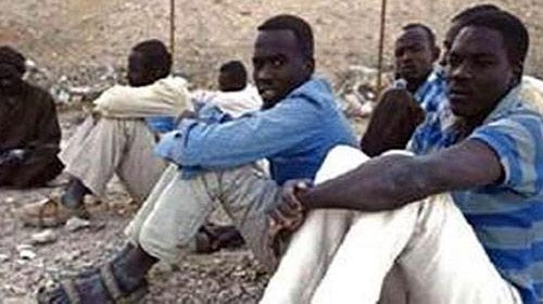 النيجر تنشد الدعم