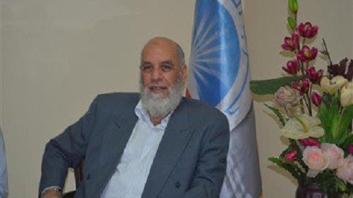 النور: لا ثغرات دستورية