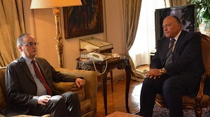 القاهرة ورؤيتها للأزمة: