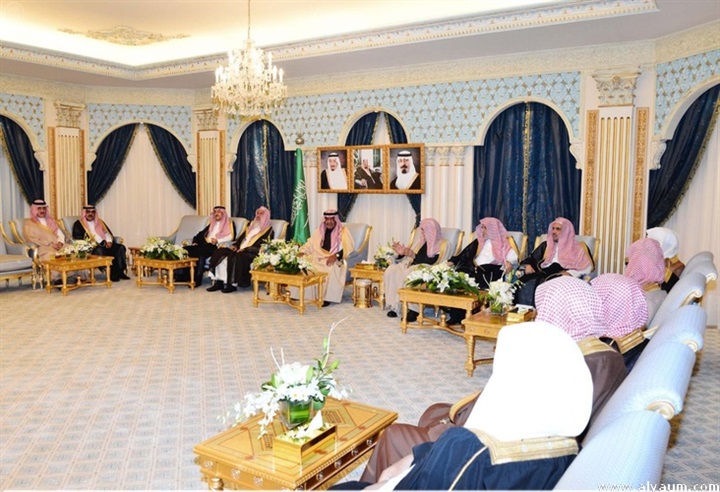 العالم العربي والإسلامي: