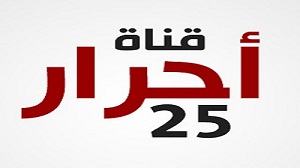 الإخوان في 2014..