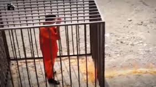 فيديو الكساسبة