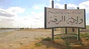 7- الأراضي الزراعية: