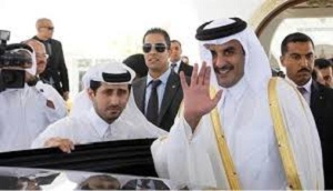 الدور القطري: