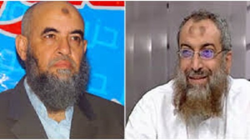 برهامي ومخيون لم