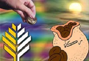 القواعد الاقتصادية: