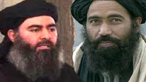 طالبان تحارب داعش