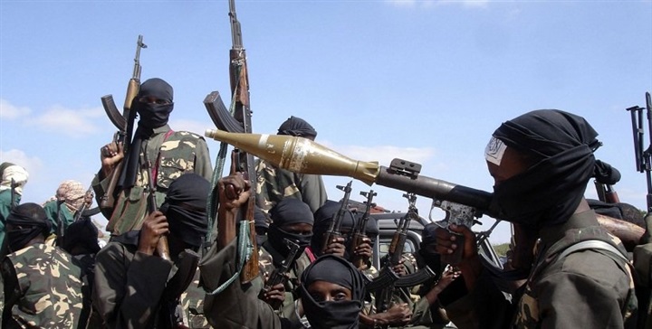 خسائر بوكو حرام: