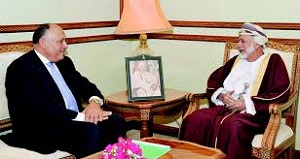 الحل السياسي