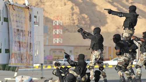 إرهاب القاعدة في