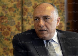 «شكري» يلتقي وزير