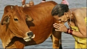 7000 حادث ضد الأقليات..الهند