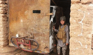 الافتاء المصرية ..قتال