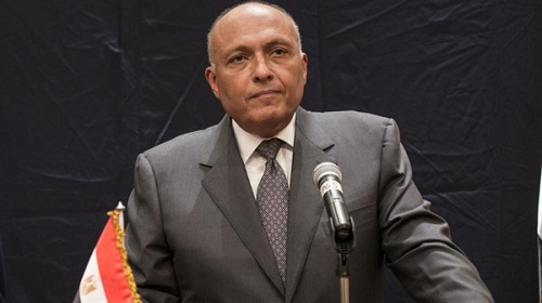 شكري: مشاورات «القوة